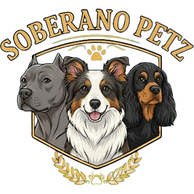 Soberano Petz Border Collies